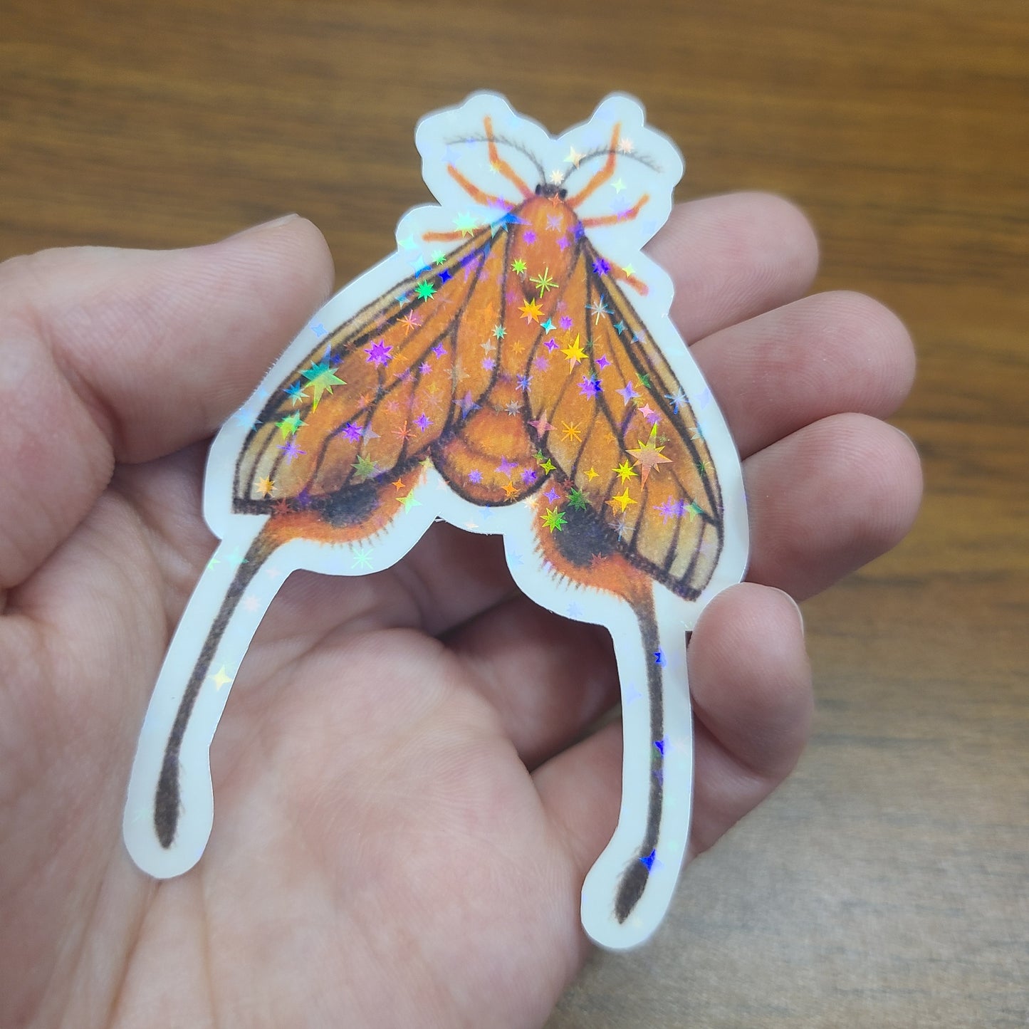 Holographic Sticker Long-tailed Burnet Moth Series