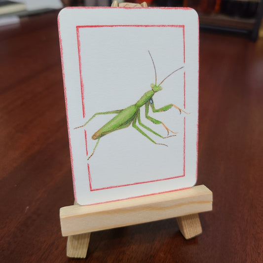 Limited Edition Art Card Print Mantis Series