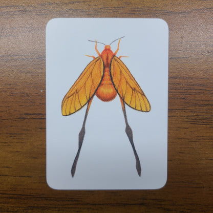 Limited Edition Art Card Print Burnet Moth Series