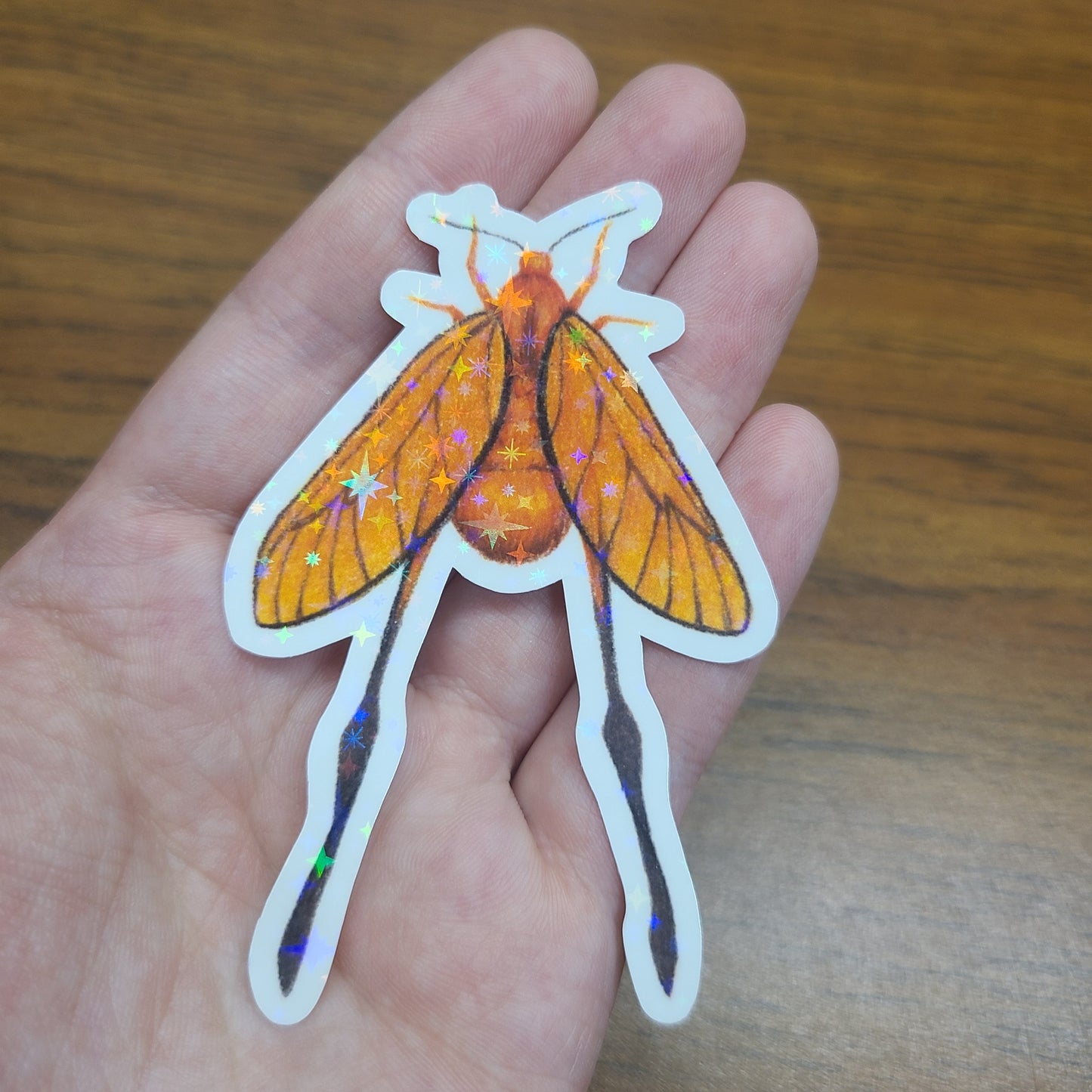 Holographic Sticker Long-tailed Burnet Moth Series