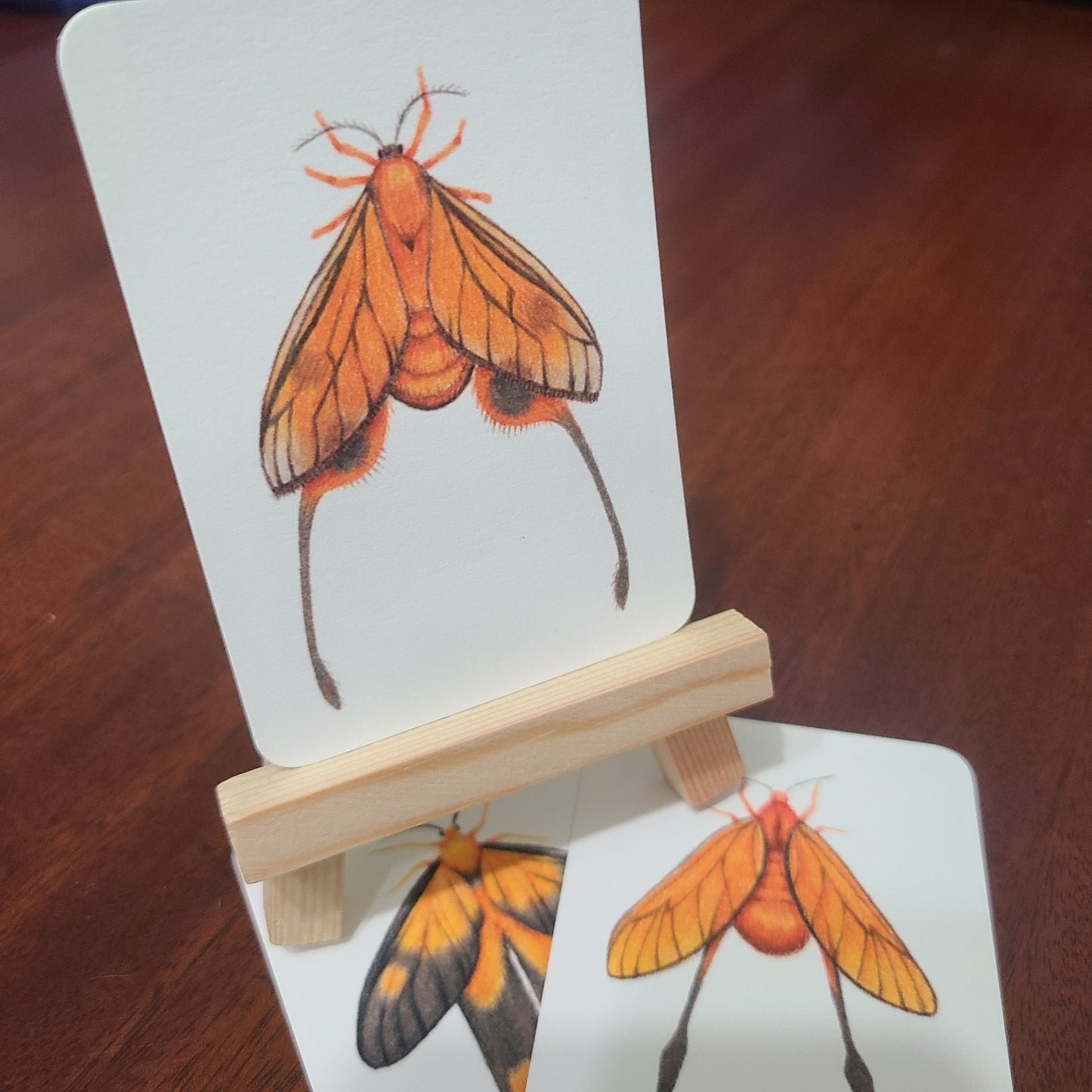 Limited Edition Art Card Print Burnet Moth Series