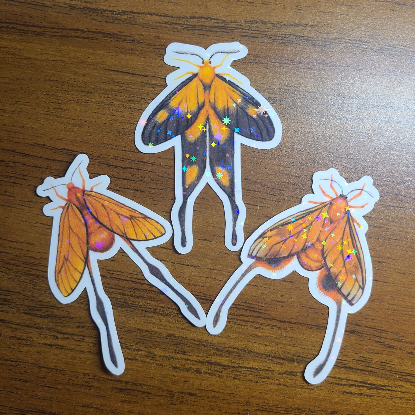 Holographic Sticker Long-tailed Burnet Moth Series
