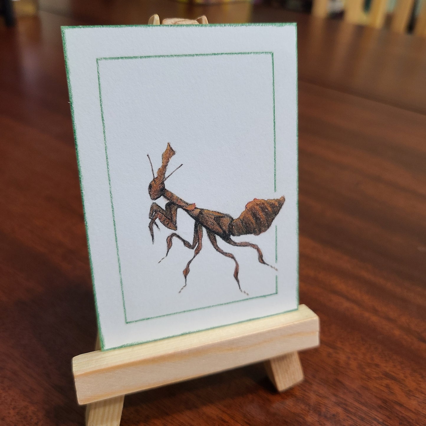 Original Art Card "Phyllocrania paradoxa"