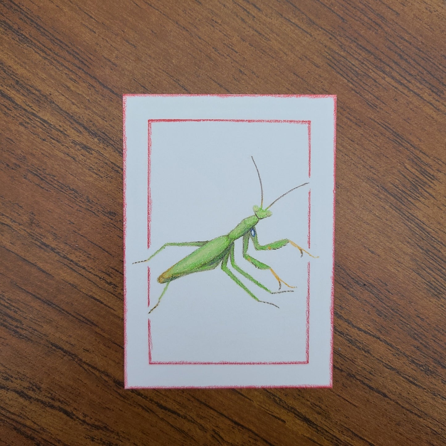 Original Art Card "Mantis religiosa (Green)"