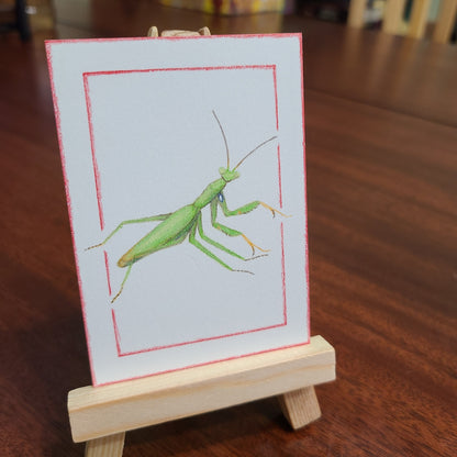 Original Art Card "Mantis religiosa (Green)"