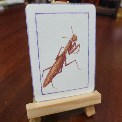 Limited Edition Art Card Print Mantis Series