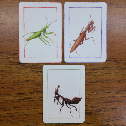 Limited Edition Art Card Print Mantis Series