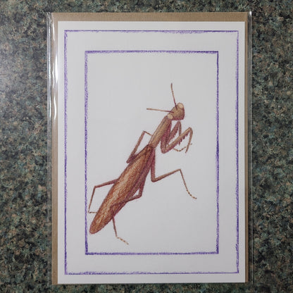 Small Fine Art Print "Mantis religiosa (Brown)" 5" X 7"