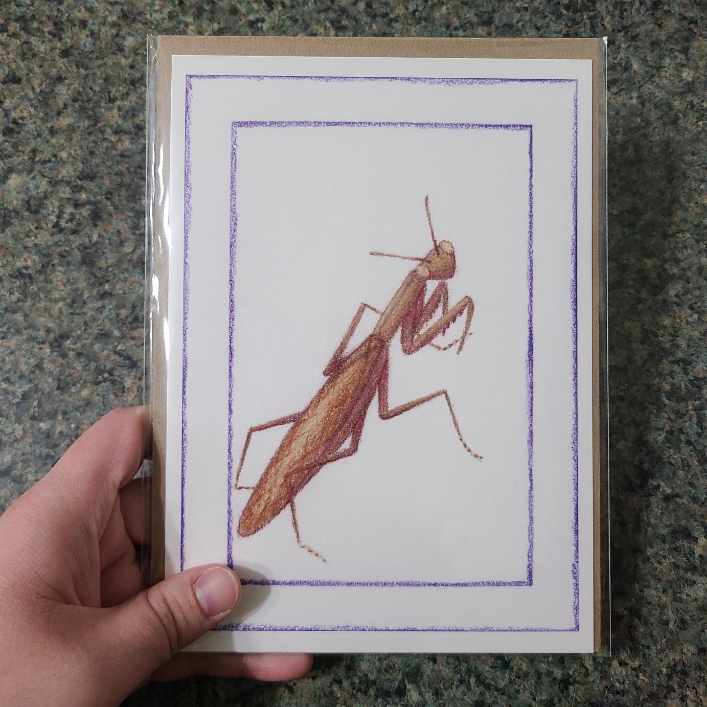 Small Fine Art Print "Mantis religiosa (Brown)" 5" X 7"