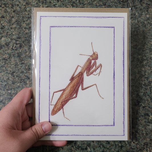 Small Fine Art Print "Mantis religiosa (Brown)" 5" X 7"