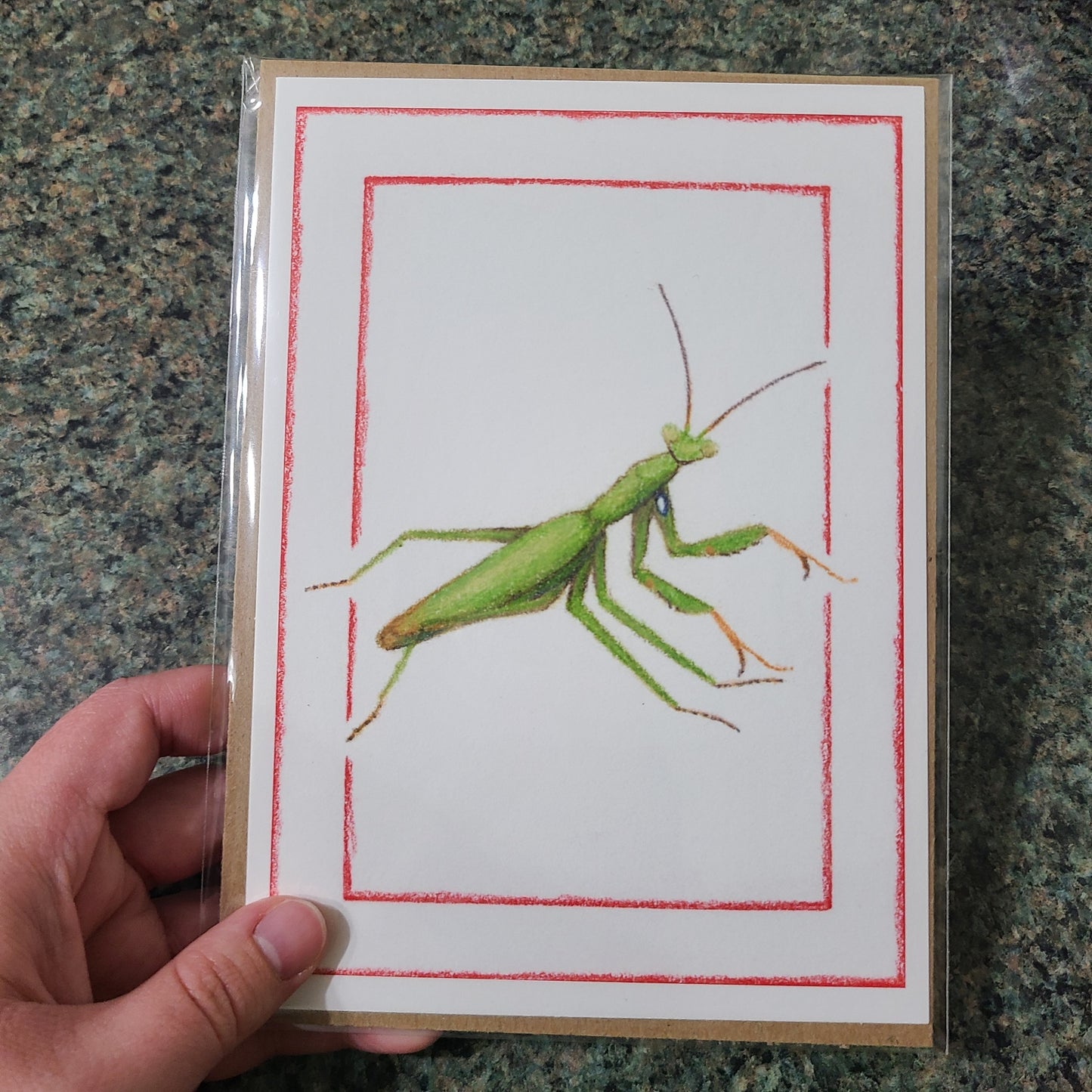 Small Fine Art Print "Mantis religiosa (Green)" 5" X 7"