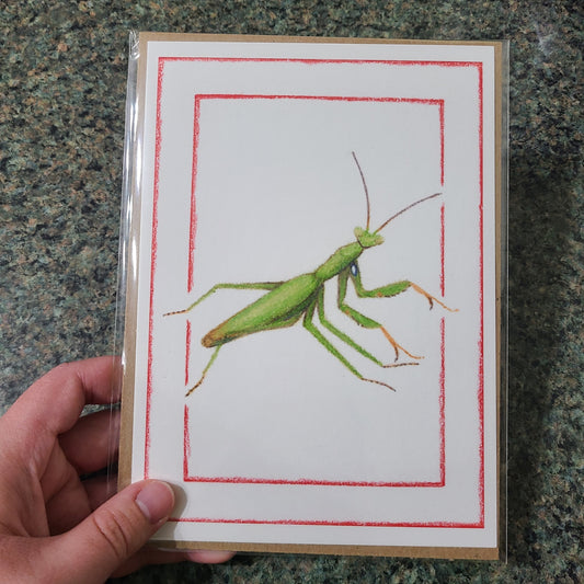 Small Fine Art Print "Mantis religiosa (Green)" 5" X 7"