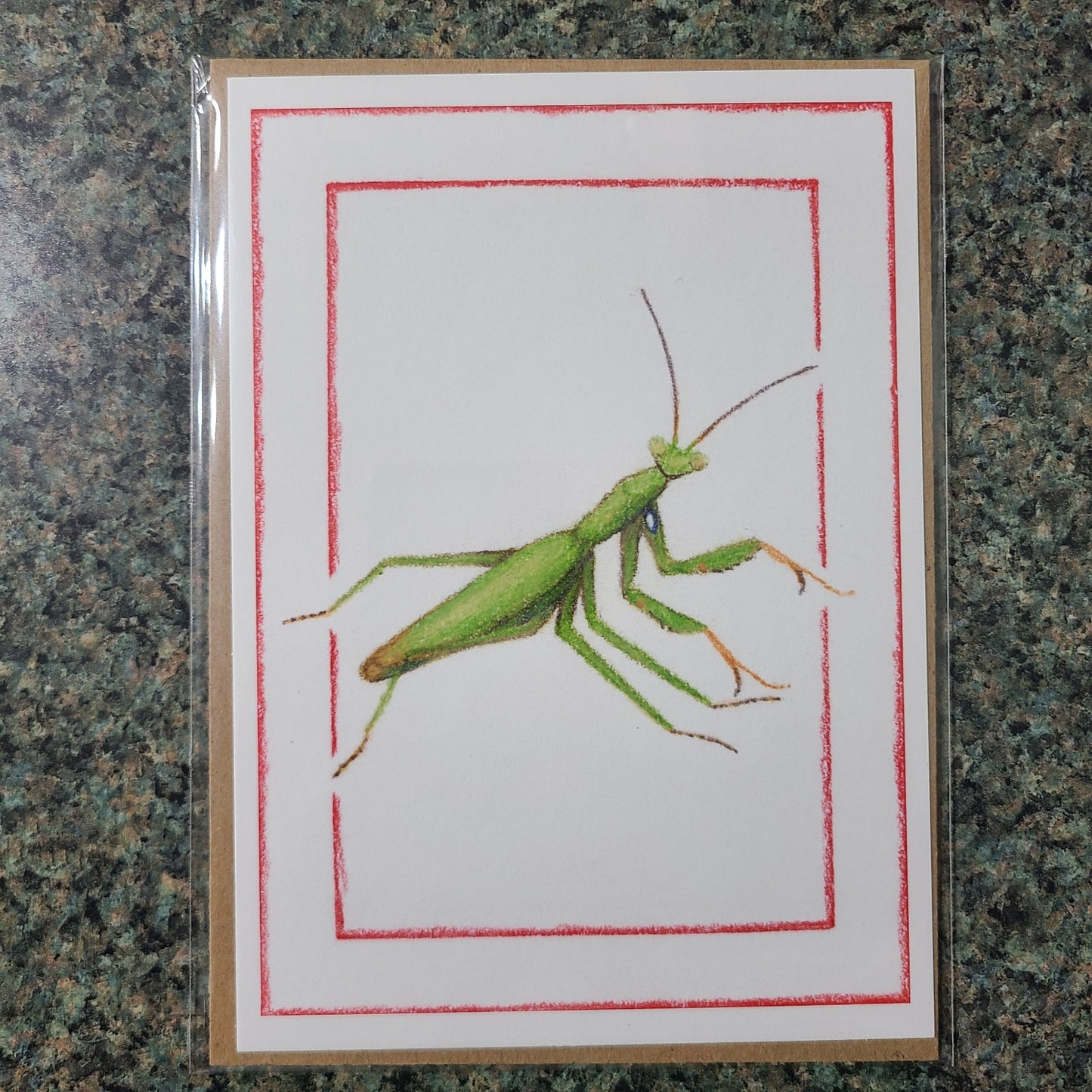 Small Fine Art Print "Mantis religiosa (Green)" 5" X 7"
