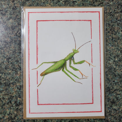 Small Fine Art Print "Mantis religiosa (Green)" 5" X 7"