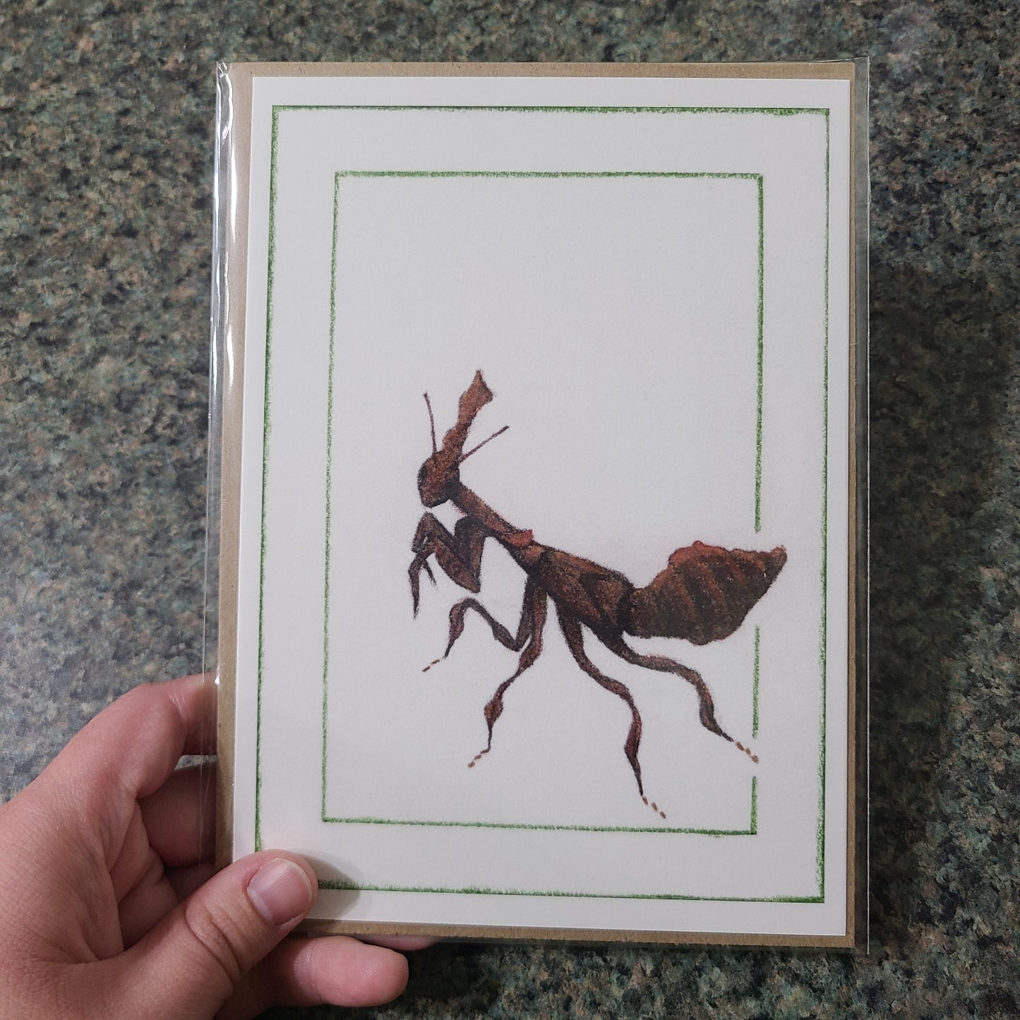 Small Fine Art Print "Phyllocrania paradoxa" 5" X 7"