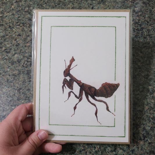 Small Fine Art Print "Phyllocrania paradoxa" 5" X 7"