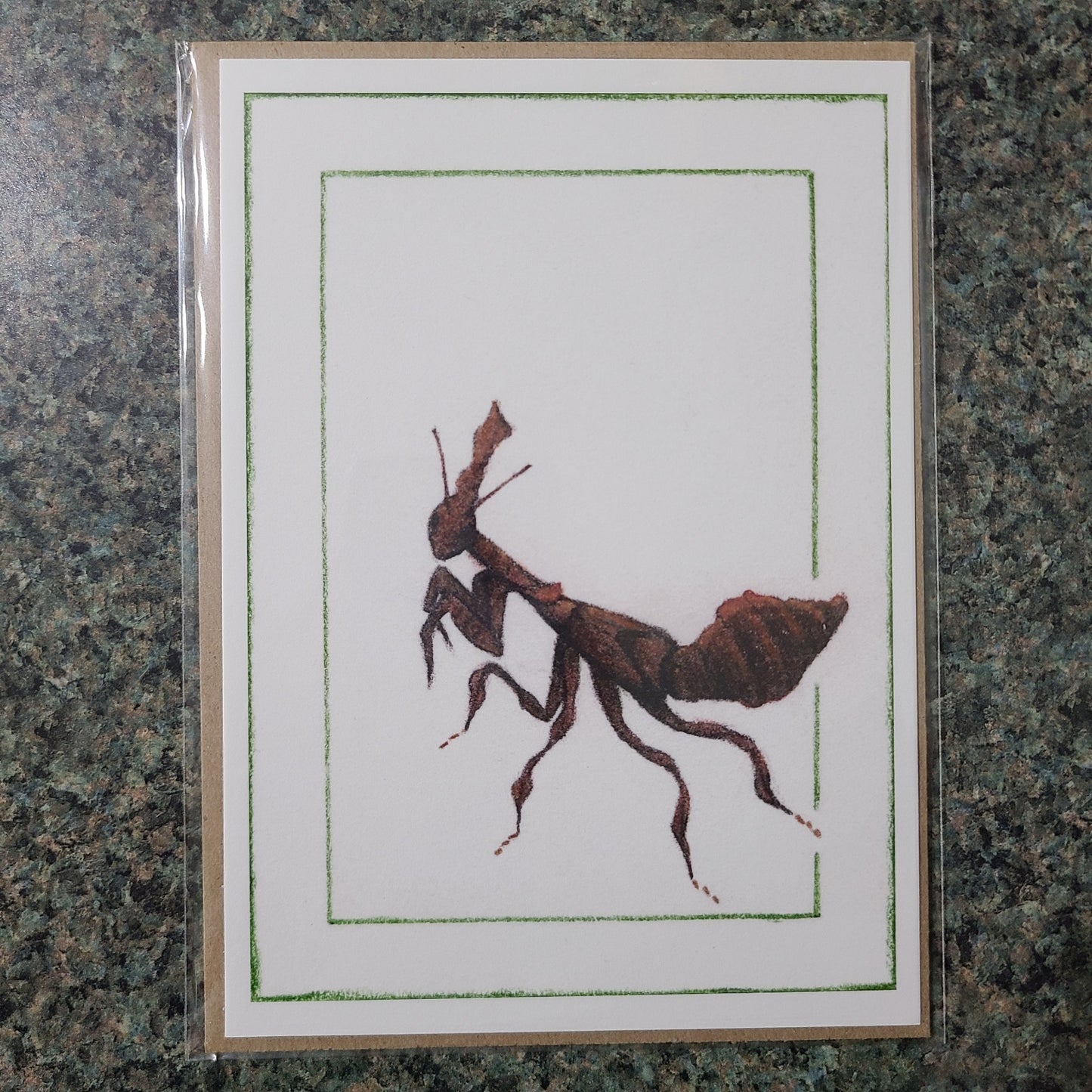 Small Fine Art Print "Phyllocrania paradoxa" 5" X 7"