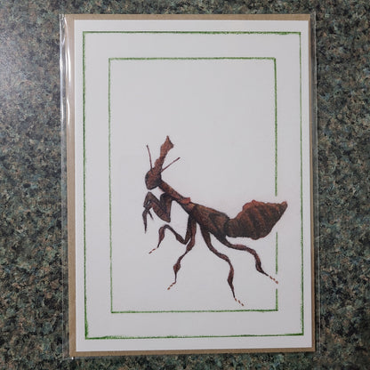 Small Fine Art Print "Phyllocrania paradoxa" 5" X 7"
